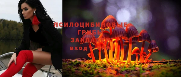 mdpv Арсеньев