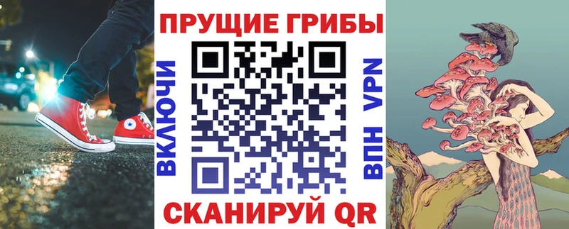 Галлюциногенные грибы ЛСД  Пушкино 
